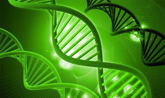 湘西州政協建言獻策，助力生物科技產業創新發展